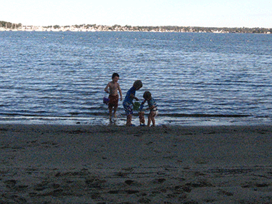 carss park